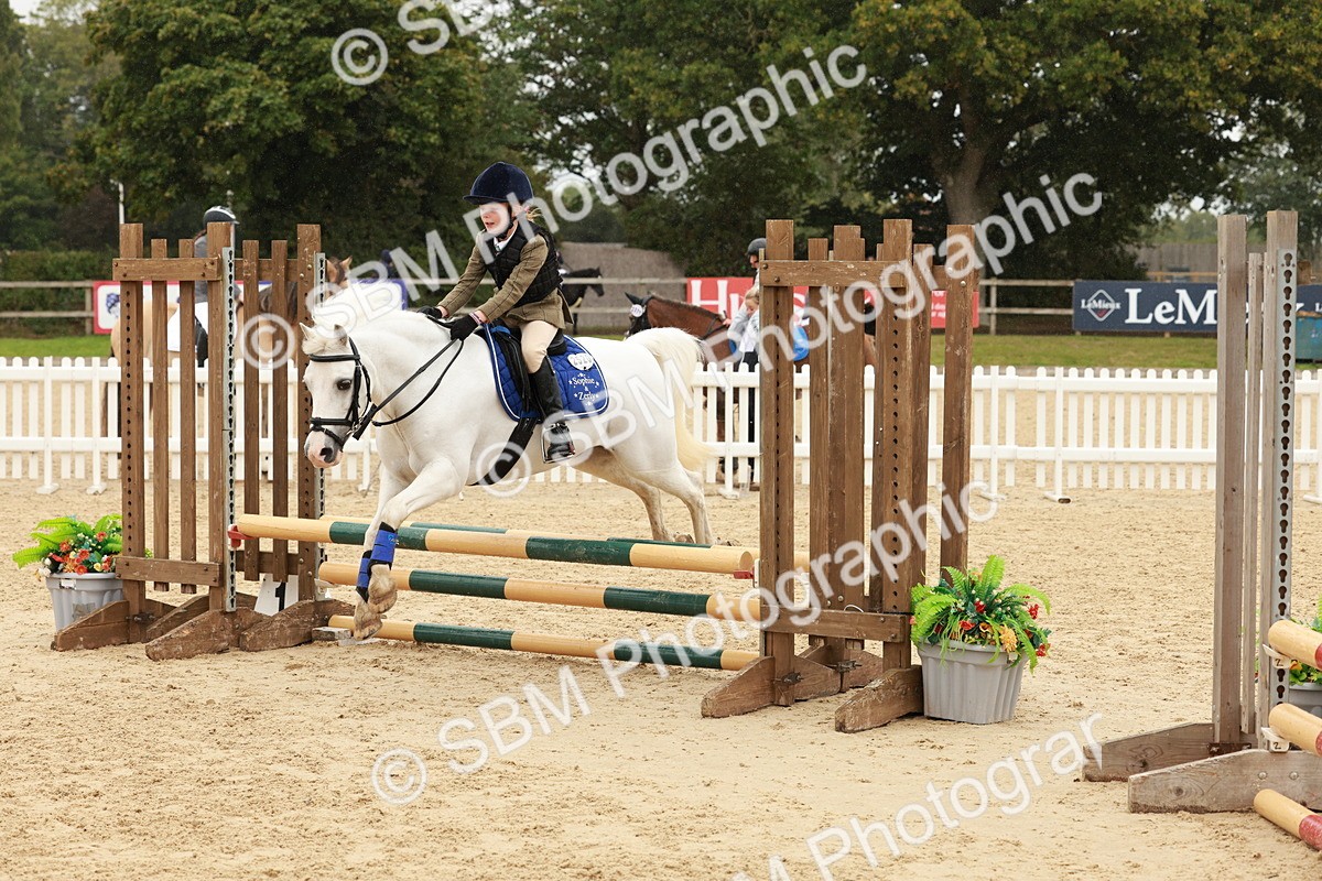 SBM_69244 - J13 - Junior Pony 60cm Championship