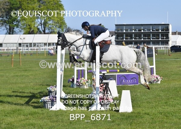 BPP_6871 - CLASS 1 Senior Newcomers/ 1.10m Open