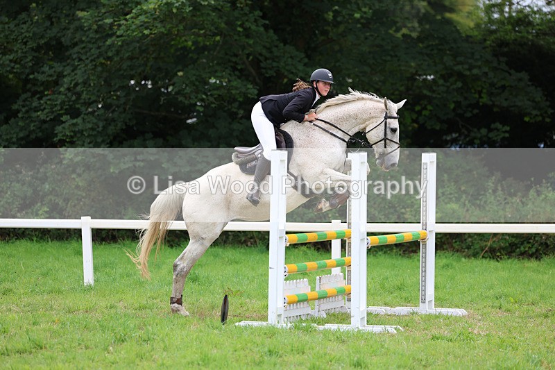 3E7A7098 - Class 5: Senior British Novice/90cm open