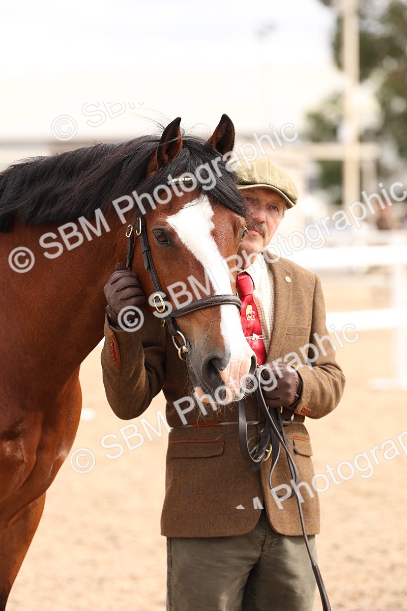 SBM_14697 - Class 208 - IH Veteran Horse