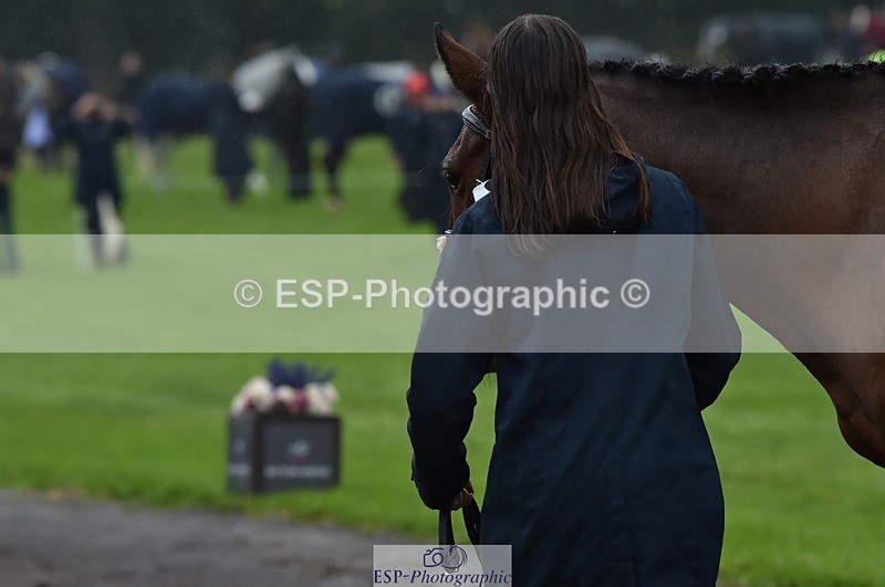 231018-120810-00098 - 010-ERASMUS.BRUMBLE-April.Masters-TrotUp