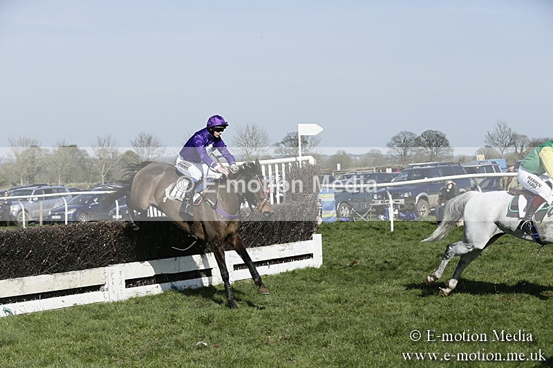 PtP 260317 271 - Mendip Farmers Point-to-Point Ston Easton 26/03/17