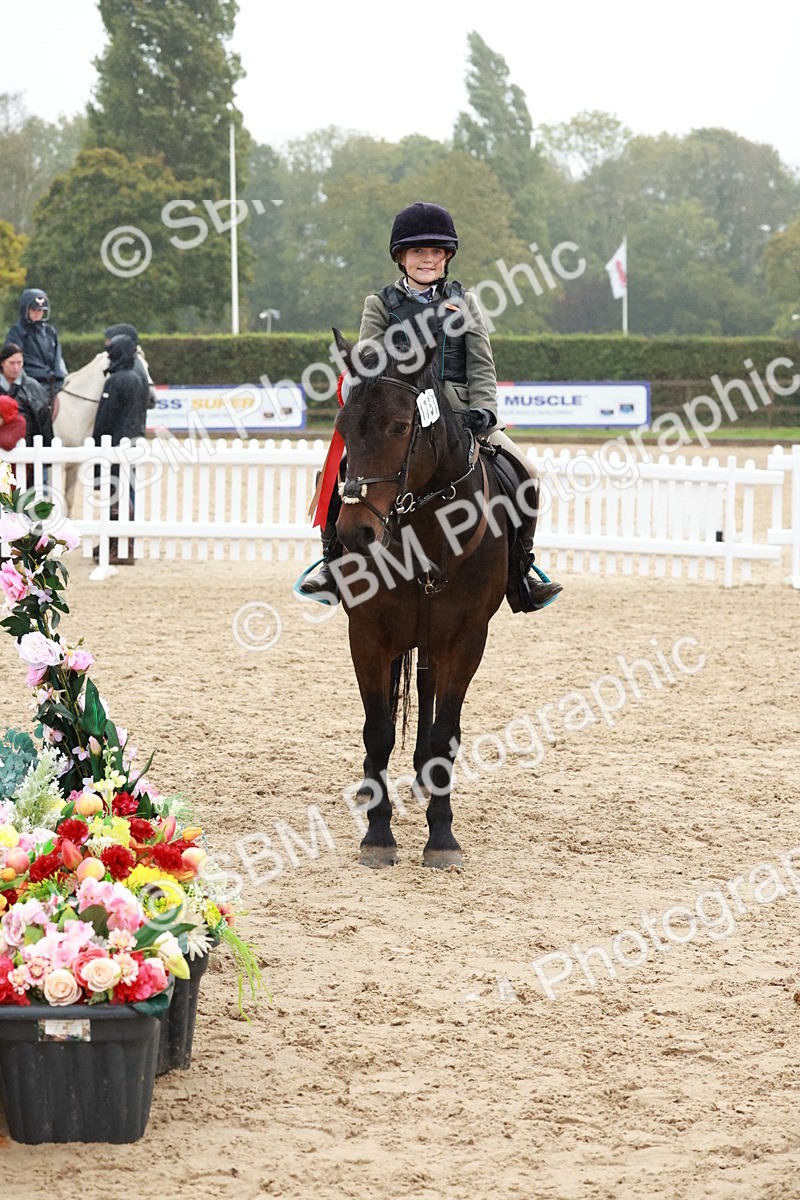 SBM_73634 - Supreme Championship Junior Pony 60cm & 65cm