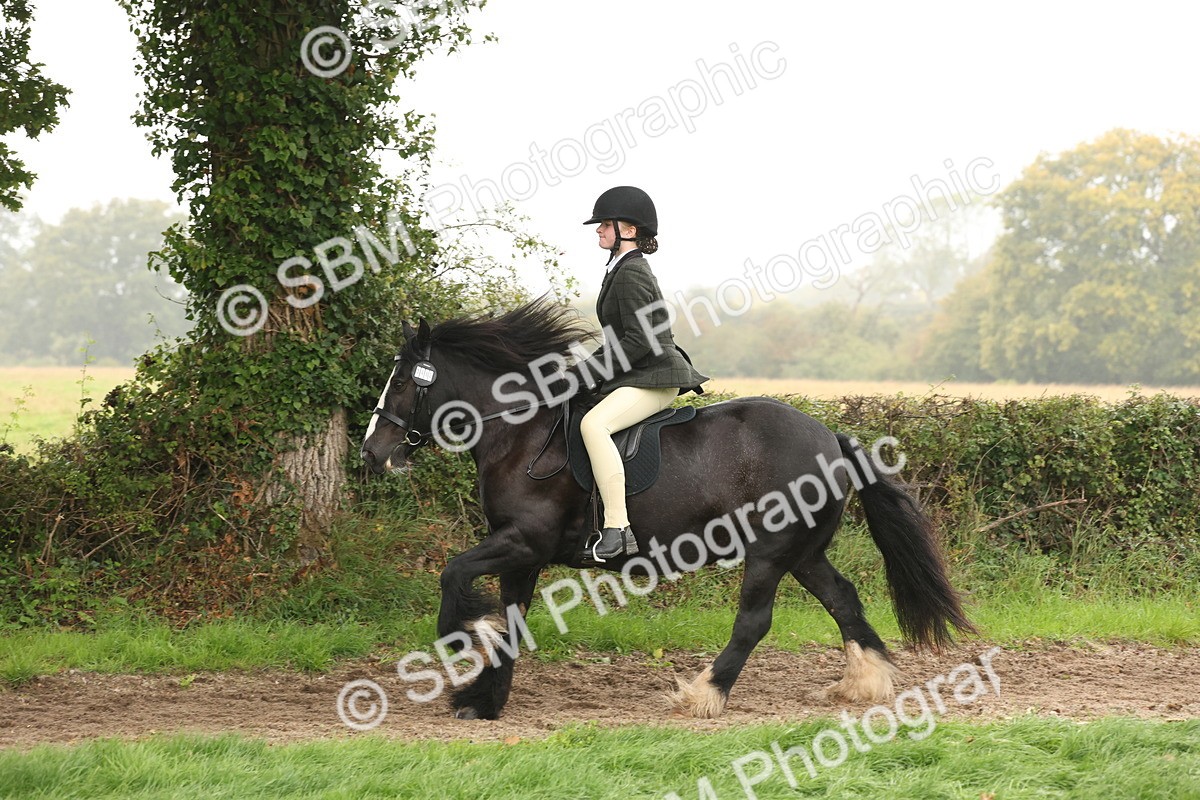 SBM_72728 - S70 - Traditional Cob Ridden