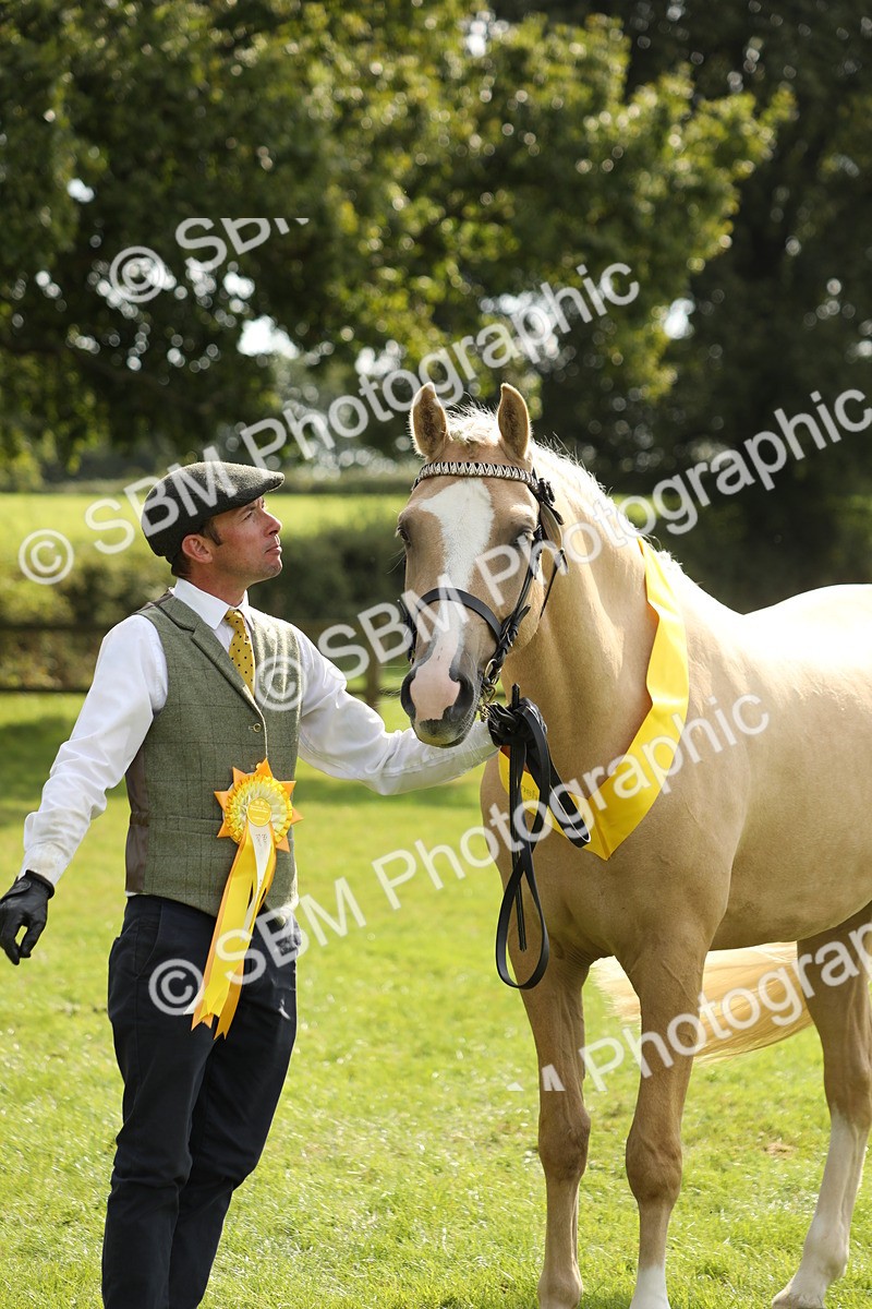 SBM_66311 - In Hand Pony & Youngstock Supreme Championship