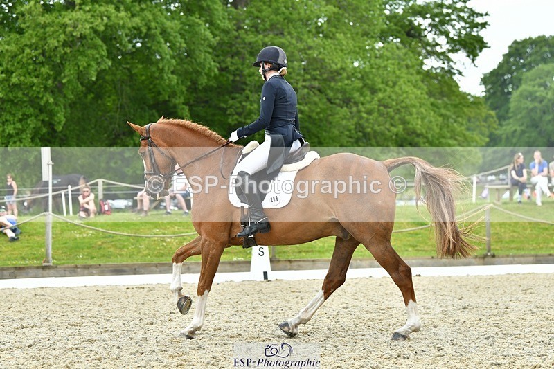 230525-122247-04239 - 208-NICO-Holly_Clarke-WEDTrotUp+DR