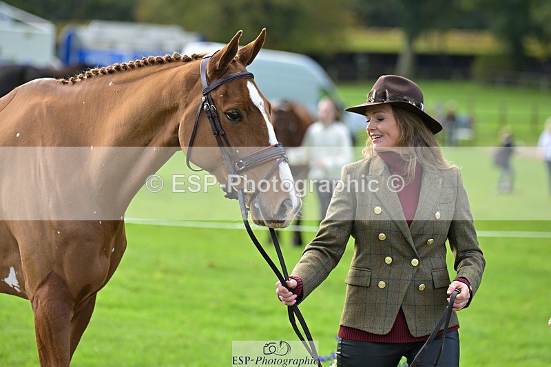 241023-131705-00177 - 010-Julia.Norman-SCOTCH.ON.THE.ROCK'Z