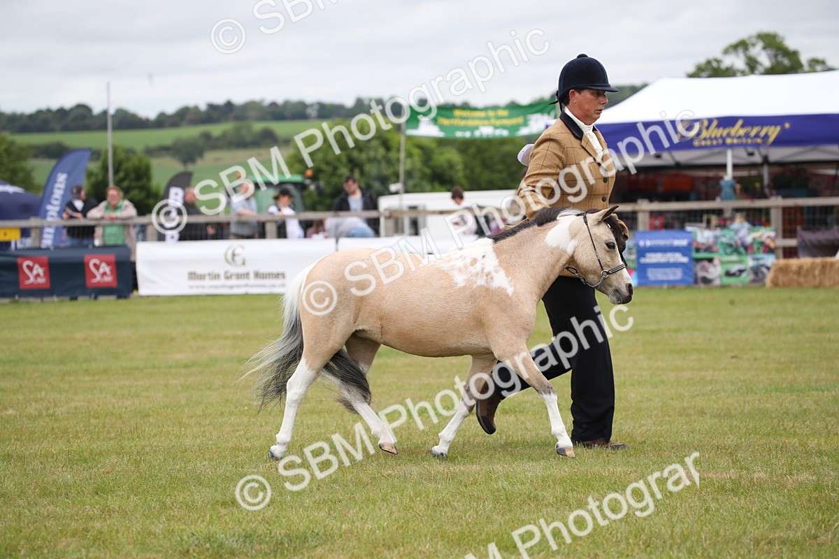 SBM_04004 - Class 23-25 - British Miniature Horse of the Year