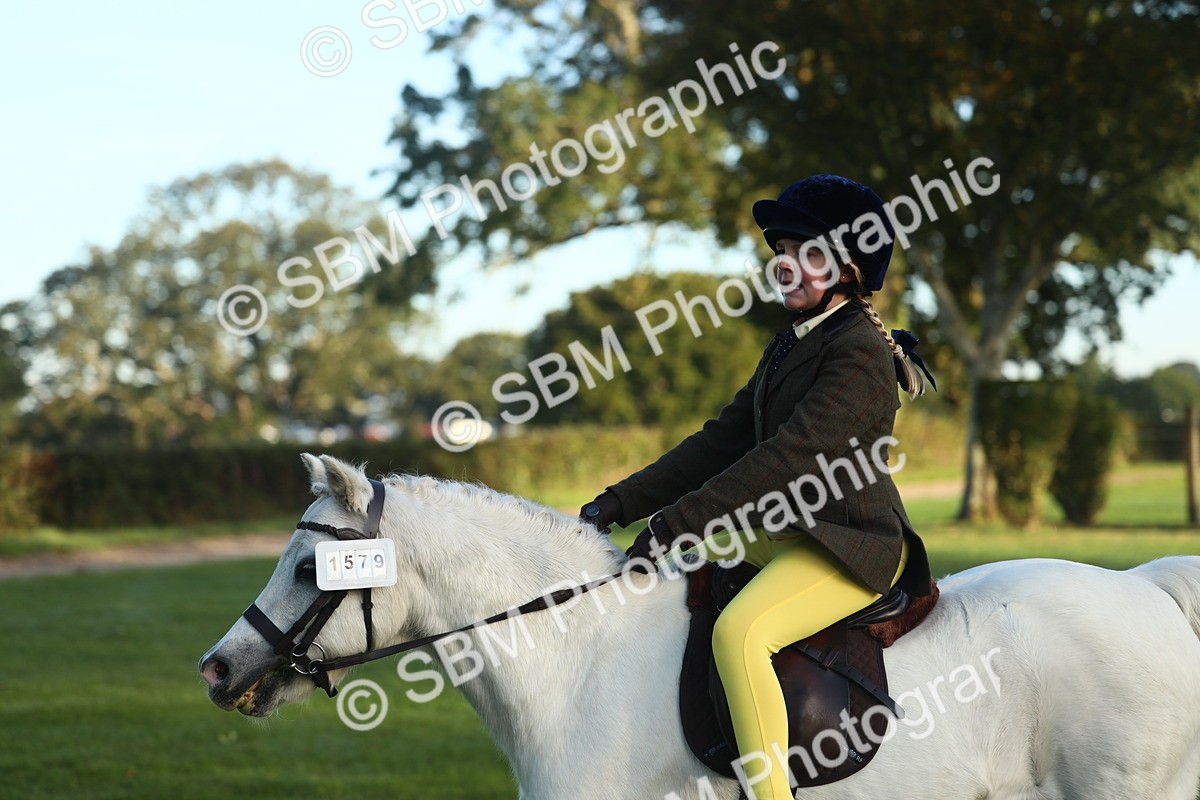 SBM_31773 - S28 - Nursery Stakes Working Hunter Pony