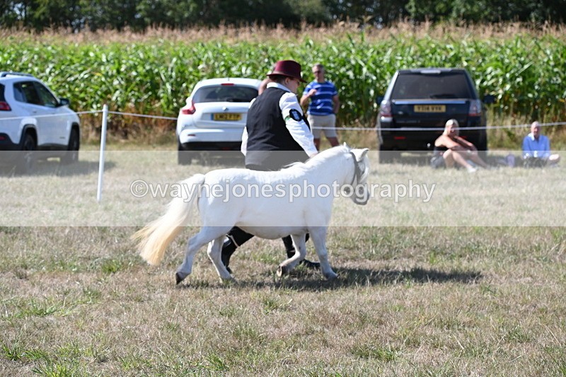 WJ6_4794 - Class 17 Mountain & Moorland