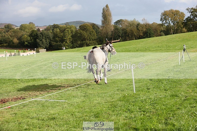 231020-141121-09305 - 120-VAN.KAUNITZ-Sara.Squires-XC