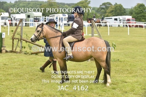 JAC_4162 - 30CM WORKING HUNTER