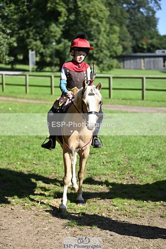 240728B-094547-00128 - Sunday Stable Shots and Fancy Dress