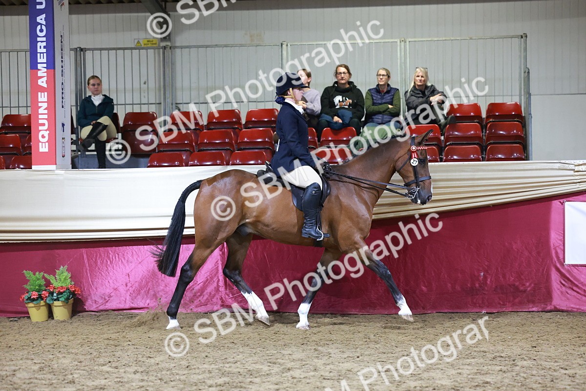 SBM_21141 - class Q - Ridden Horse Champ