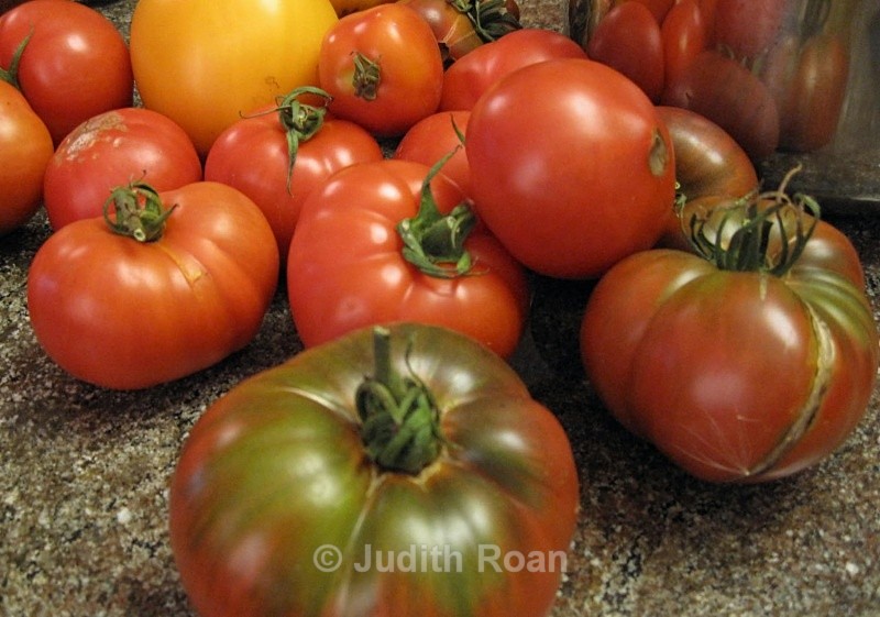 Tomato Sauce-3 - Tomato Sauce