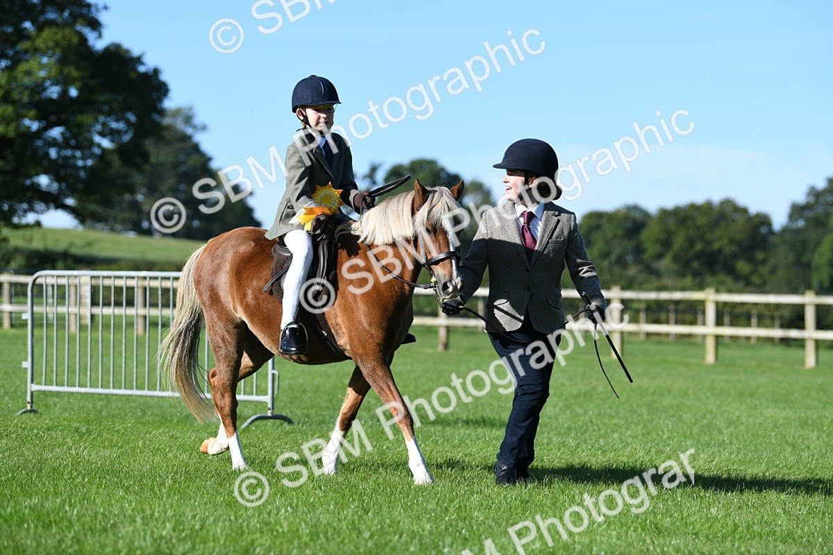 SBM_35523 - S17 - Condition & Turnout - Lead Rein