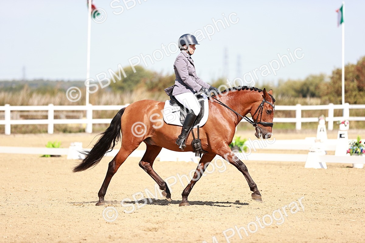 SBM_004507 - Class 12 - Novice 5 - 10.31-11.41