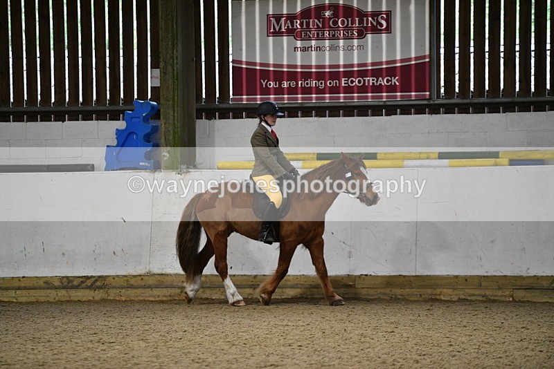 WJ5_8197 - Class 14 Novice Ridden/Rider