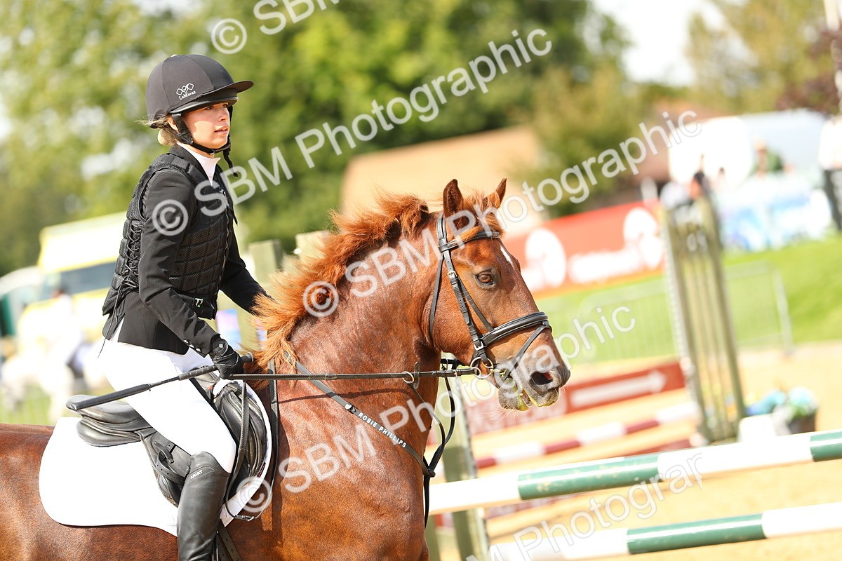 SBM_66214 - J17 - Junior Pony 80cm Championship