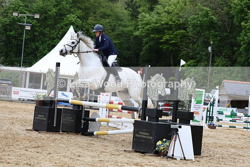 3E7A6363 - Class 4: Senior British Novice/90cm open