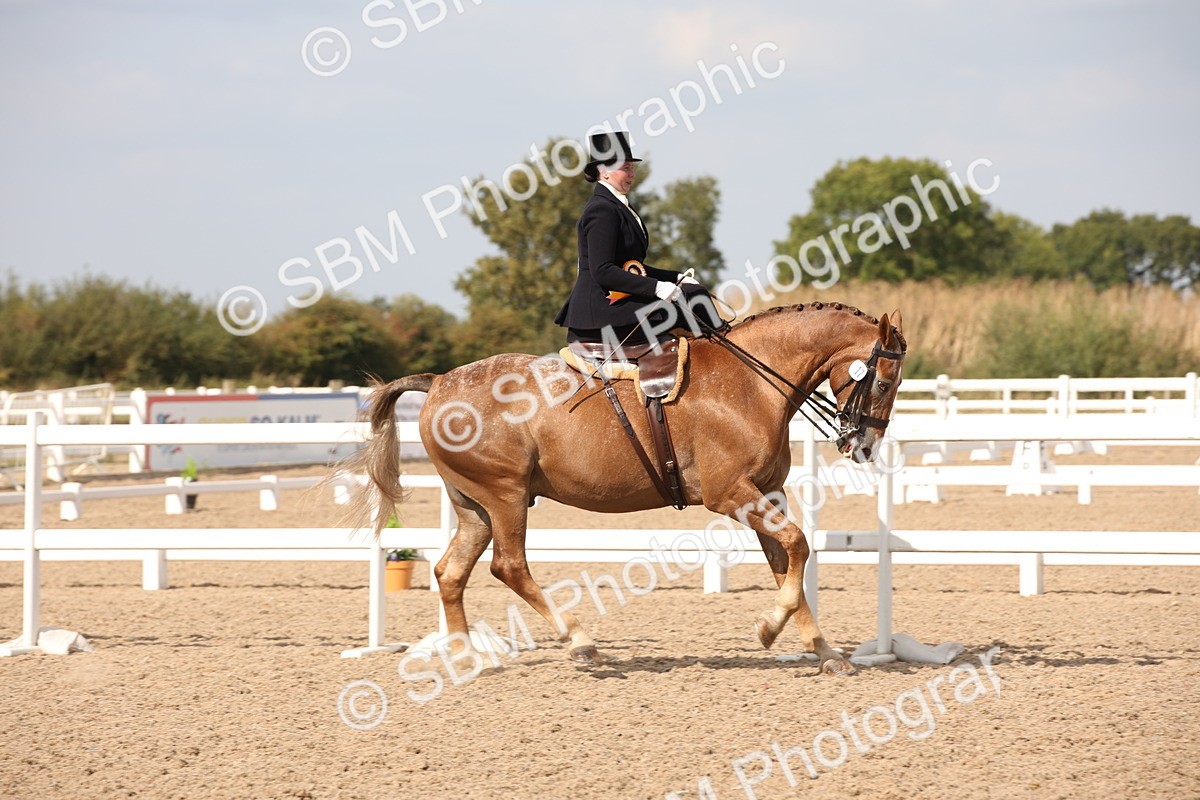 SBM_06792 - Class 24 Concours d'elegance