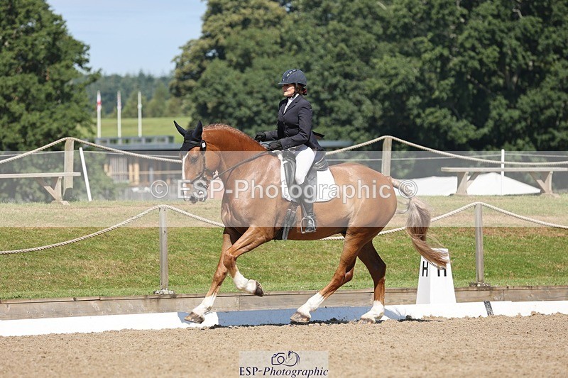 240719-103949-00762 - 223-Deborah_Randall-Sandy's_Bertie