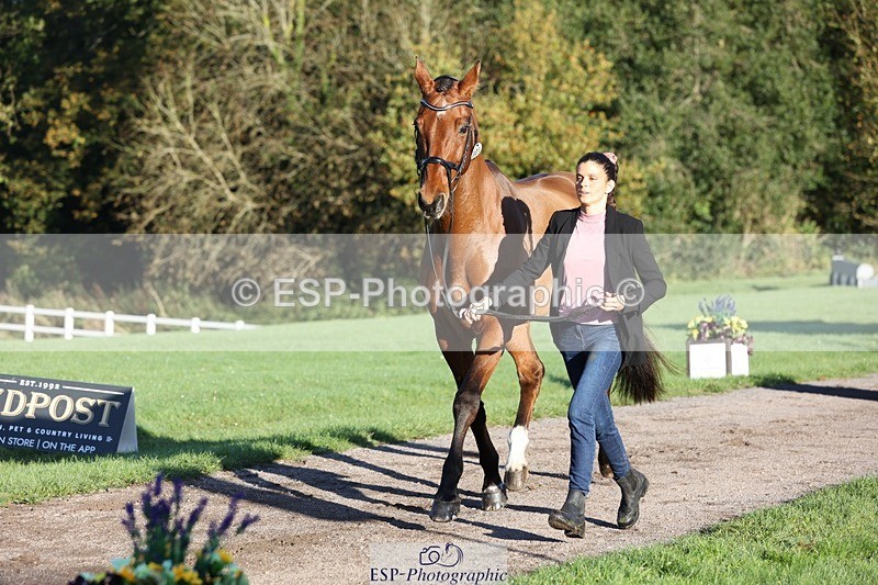 241027-085433-14886 - 301-Ilaria.Serra-DREAM.MACHINE