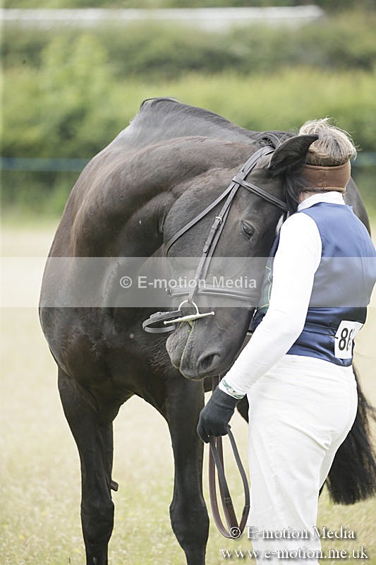 B230619-0506 - Bourne Valley Riding Club Summer Show 23/06/19
