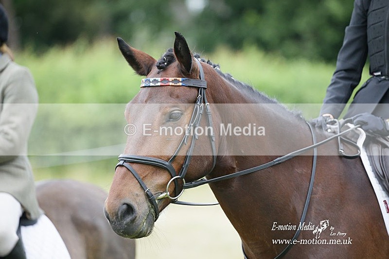 BVRC 030721 820 - Bourne Valley Riding Club Dressage 03/07/21
