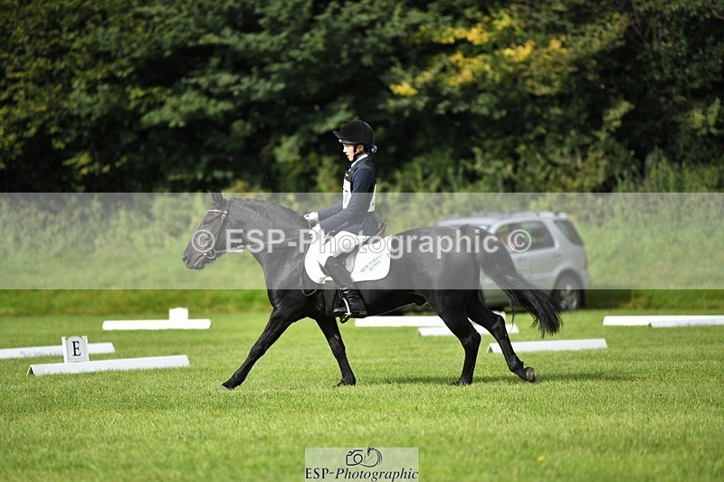 230826-094924-15250 - Sections C & D 9 to 10am