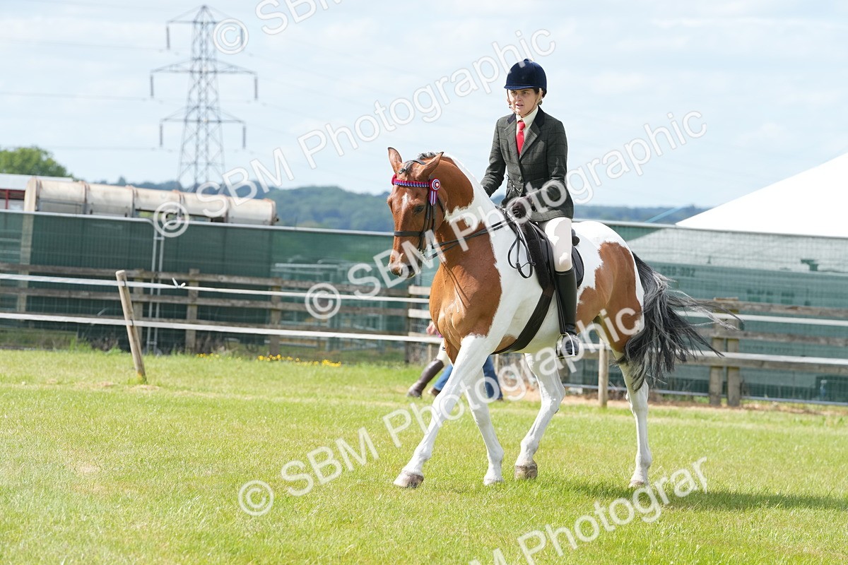 SBM_17578 - Class 107-108 - LIHS BSPS Performance Coloured Horse Pony