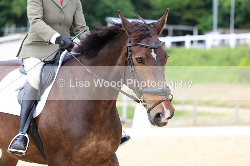 3E7A1533 - Class 2: Intro 2 2024 Section B