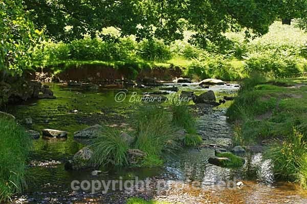 River Lin - Bradgate Park - Bradgate Park