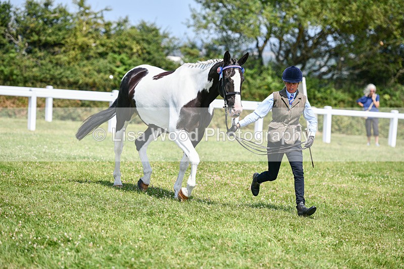 DSC_7850 - Class 65: Coloured Horse 4yrs & Over