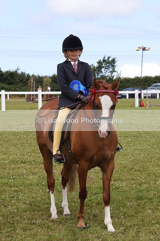 1X9A3929 - Class 31: Show Pony 148cm and under