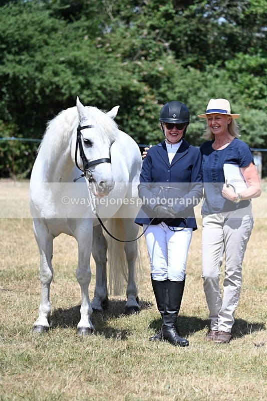 WJ7_2476 - Class 5a Most Handsome Gelding in hand (above 14.2hh)