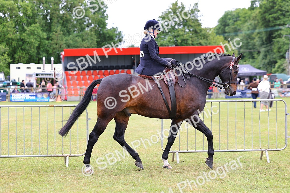 SBM_02813 - Class 9-11 Side Saddle including LIHS Rising Star Ladies Show Horse