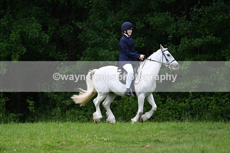 WJ7_2001 - Class 12A Coloured Class