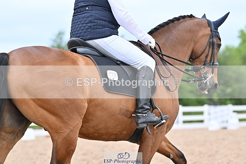 ESP_1522 - Cls 51 BD Elementary 53