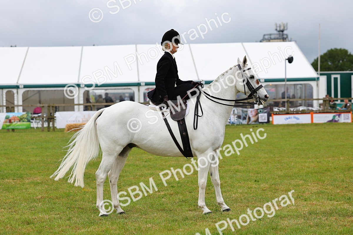 SBM_02967 - Class 9-11 Side Saddle including LIHS Rising Star Ladies Show Horse