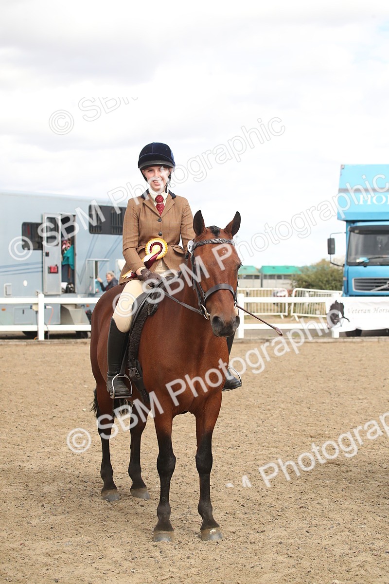 SBM_16565 - Class 506b - Working Veteran - 50cm (20+)