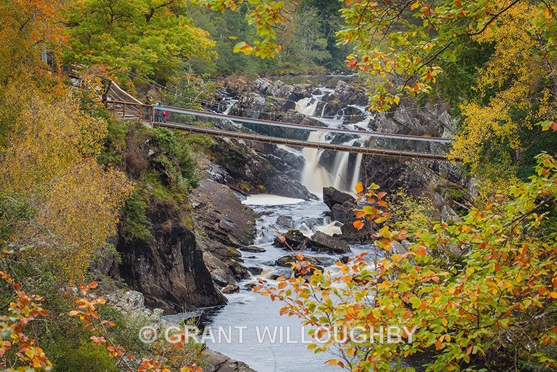 Rogie Falls 2 by Contin - Woods Trees Gorges and Waterfalls