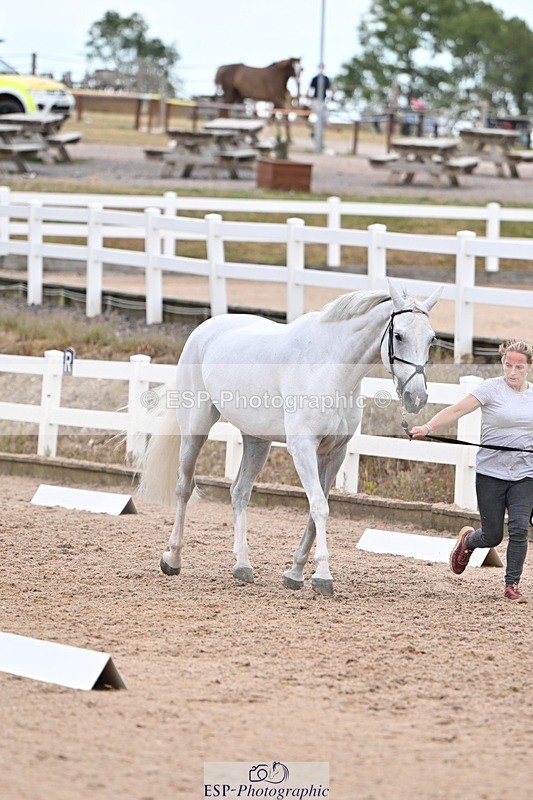 250716-141315-00978 - Trot Up 1.30 to 2.30