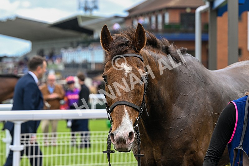 150426-Race 5-Elysian Flame-7308 - Race 5