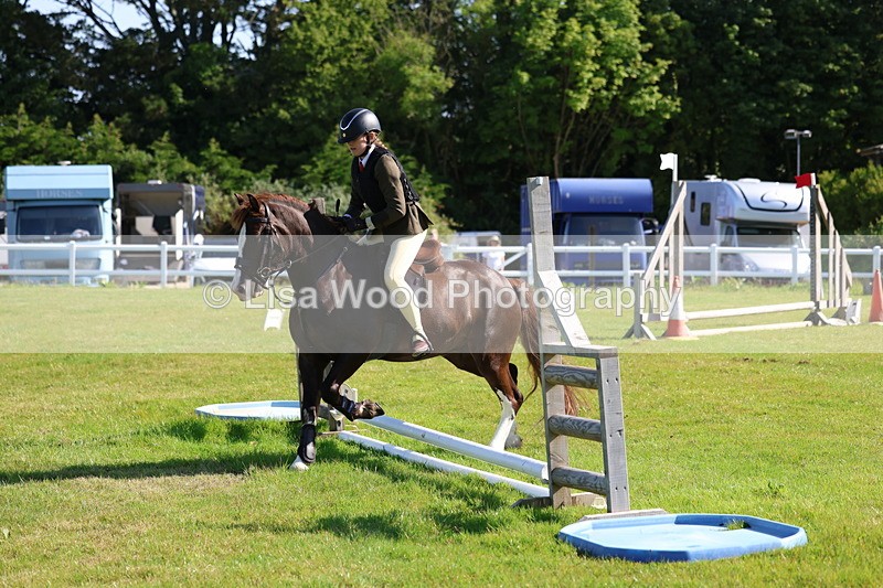 3E7A5935 - Class 27: Novice Working Hunter Pony