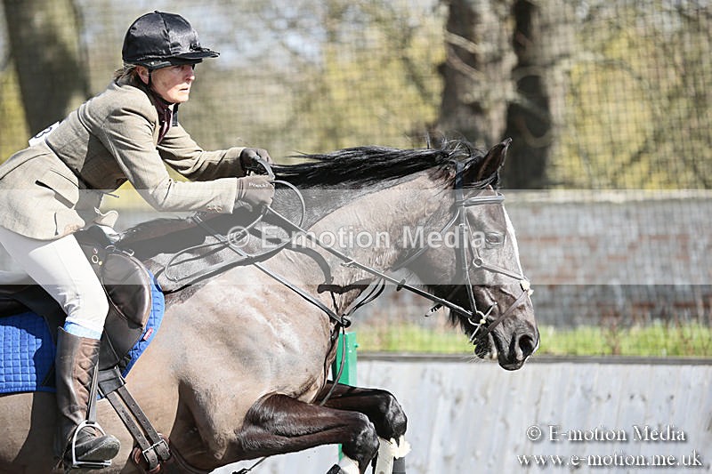 BVRC SJ 170319 397 - Bourne Valley Riding Club Showjumping 17/03/19