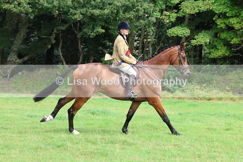 3E7A6221 - Working Hunter Championship