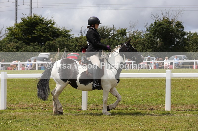 1X9A4693 - Class 34: Veteran Ridden