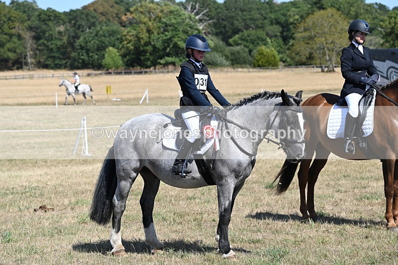 WJ6_9245 - Championship Classes 33-38