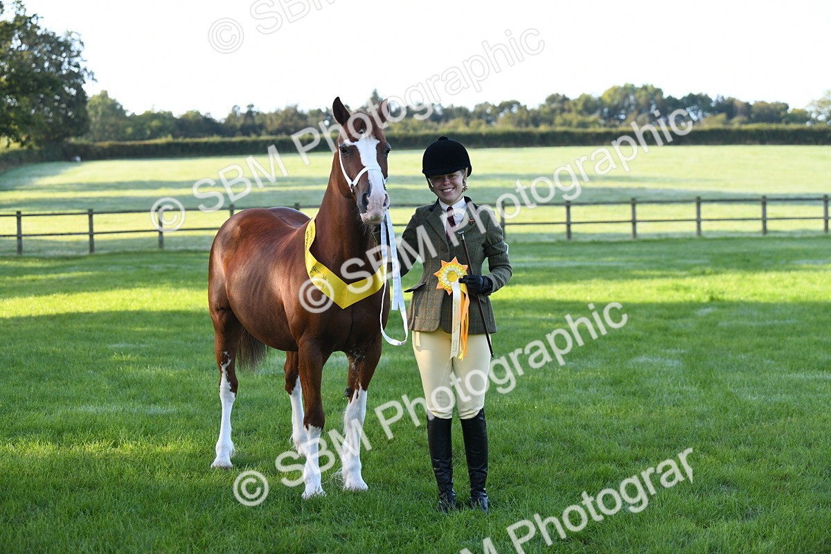 SBM_32829 - S15 - Condition & Turnout In Hand